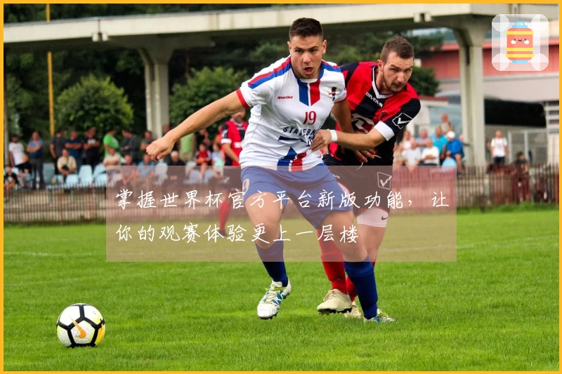 掌握世界杯官方平台新版功能，让你的观赛体验更上一层楼